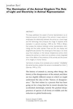 The Role of Light and Electricity in Animal Representation