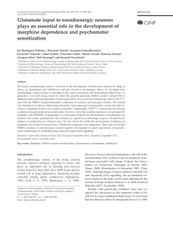 Glutamate input to noradrenergic neurons plays an essential role in