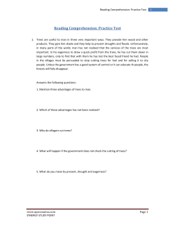 Reading Comprehension: Practice Test
