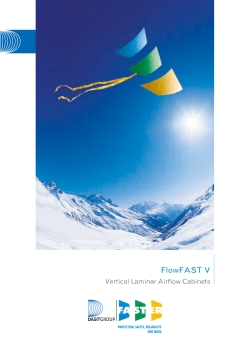 FlowFAST V - Faster