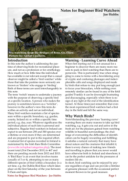 Notes for Beginner Bird Watchers
