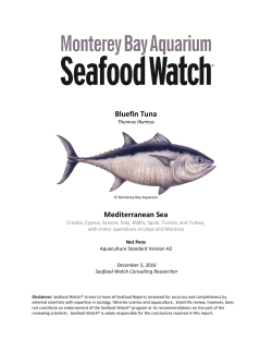 Mediterranean Farmed Bluefin Tuna Seafood Watch Report