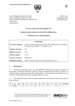 IMO BLG WORKING GROUP ON THE EVALUATION OF SAFETY