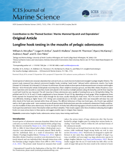 Longline hook testing in the mouths of pelagic odontocetes