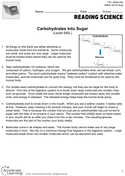 Carbohydrates Into Sugar