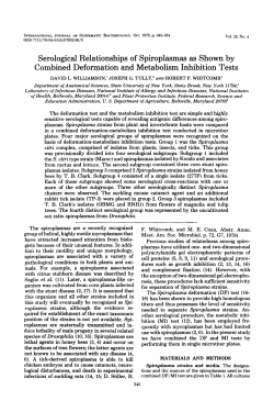 Serological Relationships of S piroplasmas as Shown Combined