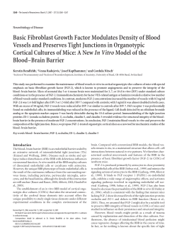 Basic Fibroblast Growth Factor Modulates Density of Blood Vessels