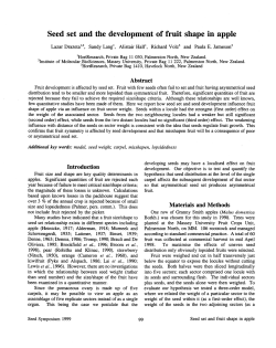 Seed set and the development of fruit shape in apple