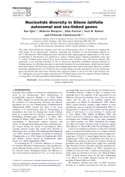 Nucleotide diversity in Silene latifolia autosomal and sex