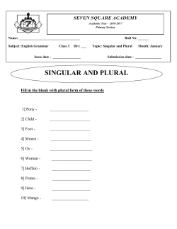 SINGULAR AND PLURAL