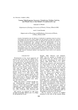 Lactate Dehydrogenase Isozymes, Gytochrome Oxidase Activity