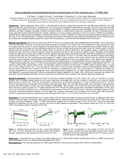 Lipid accumulation and mitochondrial function in skeletal muscle of