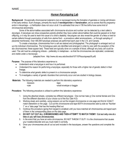 Human Karyotyping Activity &ndash; Lab #14