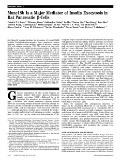 Munc18b Is a Major Mediator of Insulin Exocytosis in Rat