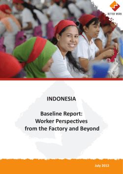 INDONESIA Baseline Report: Worker Perspectives from the Factory