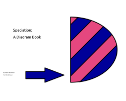 Speciation: A Diagram Book