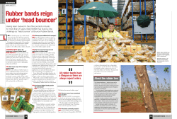 Rubber bands reign under `head bouncer`