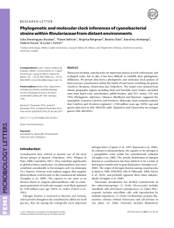 Phylogenetic and molecular clock inferences of