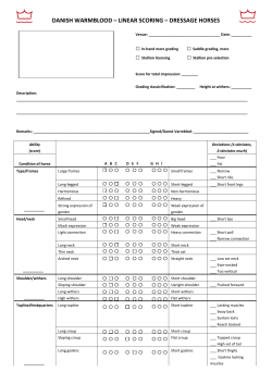 danish warmblood &ndash; linear scoring &ndash; dressage