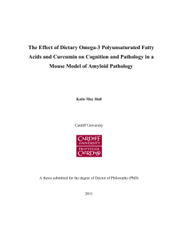 The Effect of Dietary Omega-3 Polyunsaturated Fatty Acids