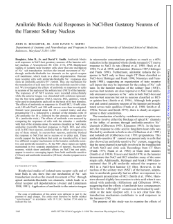 Amiloride Blocks Acid Responses in NaCl