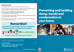 Preventing damp, condensation and mould leaflet