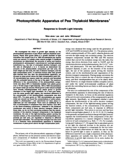 Photosynthetic Apparatus of Pea Thylakoid