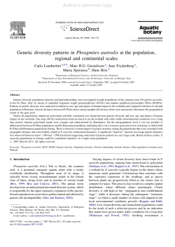 Genetic diversity patterns in Phragmites australis at the population