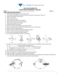 final term examination science revision worksheet