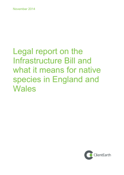 Infrastructure-and-native-species-in-England-and