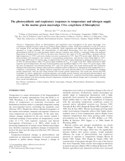 The photosynthetic and respiratory responses to temperature and
