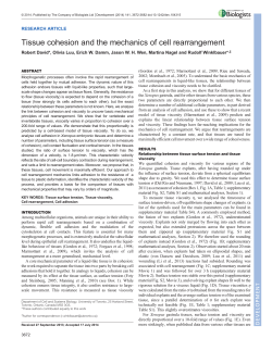 Tissue cohesion and the mechanics of cell