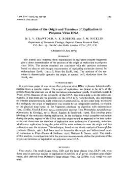 Location of the Origin and Terminus of Replication in Polyoma Virus