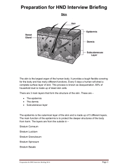 Preparation for HND Interview Briefing