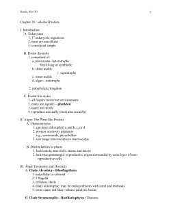 Chapter 24 / Kingdom Protista