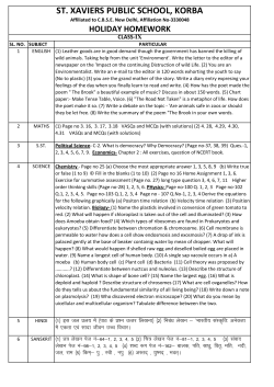 ST. XAVIERS PUBLIC SCHOOL, KORBA