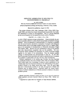 OXIDATIVE ASSIMILATION IN RELATION TO PHOTOSYNTHESIS