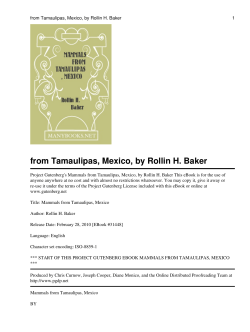 Mammals from Tamaulipas, Mexico