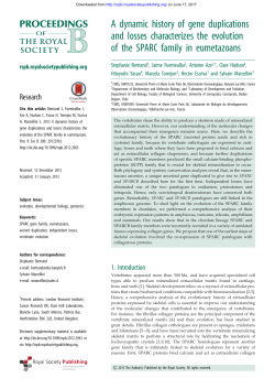 A dynamic history of gene duplications and losses characterizes the