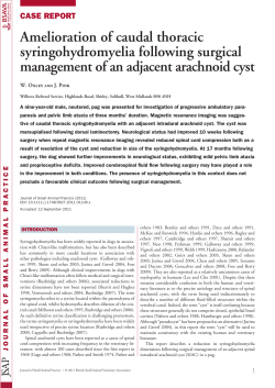 Amelioration of caudal thoracic syringohydromyelia following