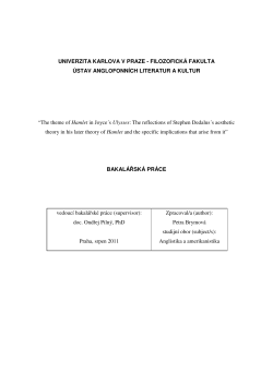 Stephen&acute;s aesthetic theory