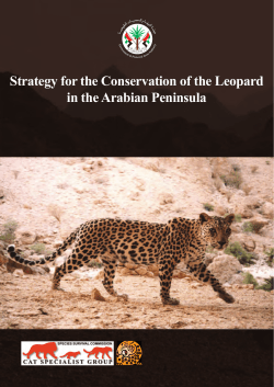 Strategy for the Conservation of the Leopard in the Arabian Peninsula