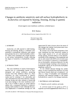 Changes in antibiotic sensitivity and cell surface hydrophobicity in