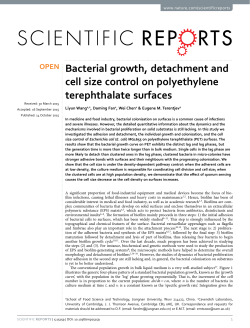 Bacterial growth, detachment and cell size control on PET surfaces