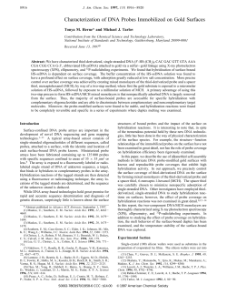 Characterization of DNA Probes Immobilized on Gold Surfaces