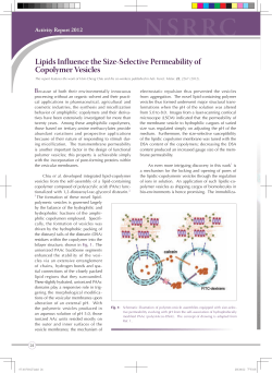 Lipids Influence the Size-Selective Permeability of