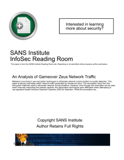An Analysis of Gameover Zeus Network Traffic