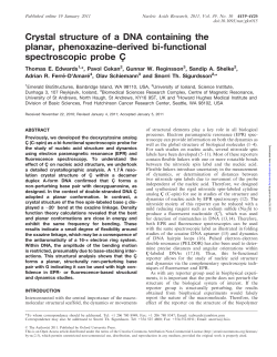 Crystal structure of a DNA containing the planar, phenoxazine