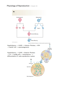 Physiology of Reproduction - Chapter 20