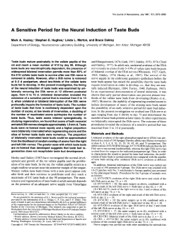 A Sensitive Period for the Neural Induction of Taste Buds
